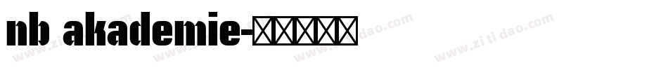 nb akademie字体转换